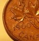 Error Coin 1960 Damage On Leaf And Date Elizabeth Ii Canada Penny S52 Coins: Canada photo 1