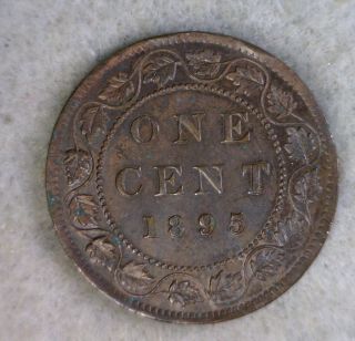 Canada Large Cent 1895 Au (stock 1692) photo