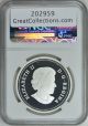Canada 2013 S$20 Silver Bald Eagle Lifelong Mates Early Releases Ngc Proof - 70 Uc Coins: Canada photo 1