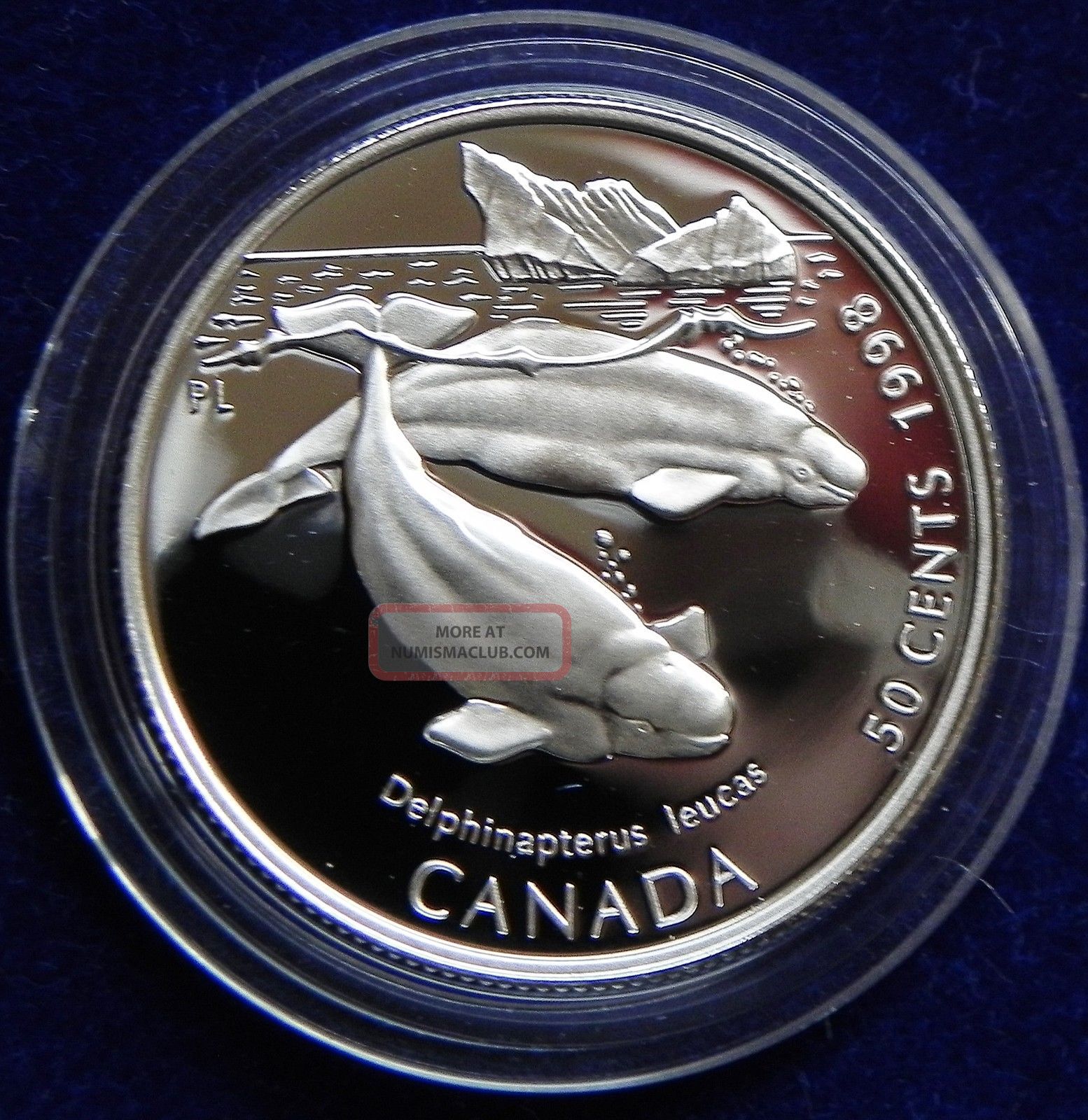 1998 Canada Silver Half Dollar Rare Beluga Whale 1998-canada-silver-half-dollar-rare-beluga-whale