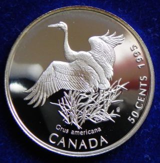 1995 Canada Silver Half Dollar Rare Whooping Crane photo