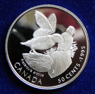 1995 Canada Silver Half Dollar Rare Atlantic Puffin photo