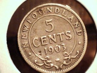 1903 Newfoundlandd Five (5) Cent Coin.  Pre - Confederation Canada photo