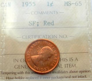 1955 Sf Small Cent Iccs Ms - 65 Red & Lustrous Gem Brilliant Unc Penny photo