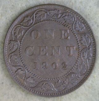 Canada Large Cent 1902 Canadian Coin (stock 0572) photo