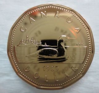 1989 Canada Loonie Proof - Like One Dollar Coin photo