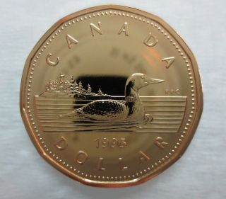 1995 Canada Loonie Proof - Like One Dollar Coin photo