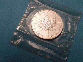 1988 1 Oz Silver Maple Leaf With Some Toning On Reeded Edge And Near Date photo