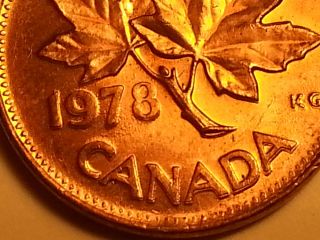 Error Coin 1978 Double Date 1978 & Leaves & Canada Canada Penny S94 Beauty photo