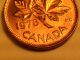 Error Coin 1978 Double Date 1978 & Leaves & Canada Canada Penny S94 Beauty Coins: Canada photo 2