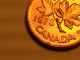 Error Coin 1978 Double Date 1978 & Leaves & Canada Canada Penny S94 Beauty Coins: Canada photo 3