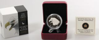 2013 Canada $20 1oz Fine Silver Coin The Bald Eagle Portrait Of Power photo