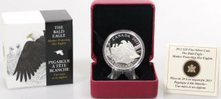 2013 Canada $20 1oz Fine Silver Coin The Bald Eagle Mother Protecting Her Eagles photo