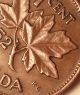 Error Coin 1952 Double Date & Leaves & 1 Cent George Vi Canada Penny S113 Coins: Canada photo 2