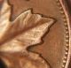 Error Coin 1952 Double Date & Leaves & 1 Cent George Vi Canada Penny S113 Coins: Canada photo 5