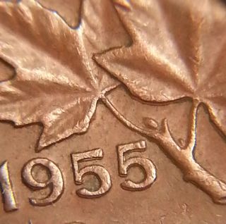 Error Coin 1955 Double Date 955 & Leaves Penny S108 photo