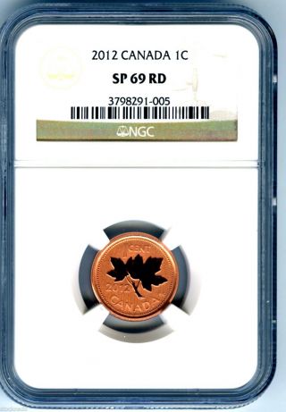 2012 Canada Cent Ngc Sp69 Rd Frosted Magnetic Steel Last Year Of Issue Superior photo