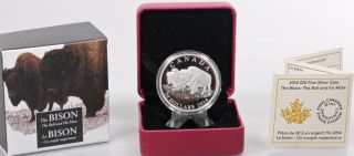 2014 $20 Canada Fine Silver Coin - The Bison: The Bull & His Mate Ogp And photo