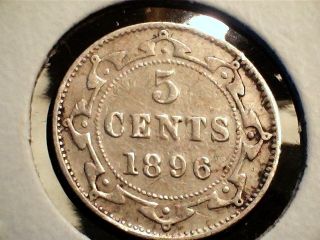 1896 Newfoundland Five (5) Cent Coin.  Pre - Confederation Canada photo