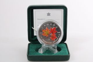 2001 Canadian 1oz Colored Silver Maple Leaf $5 Coin,  Box, photo