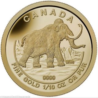 Canada 2014 Gold $5 Woolly Mammoth,  Series,  Mintage 3000, photo
