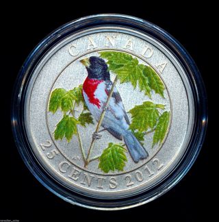 Canada 2012 Coloured 25 Cent Coin Rose - Breasted Grosbeak Rcm Bird Series photo