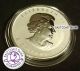 2013 Canadian Maple Leaf Privy Year Of The Snake 1 Oz.  9999 Fine Encapsulated Coins: Canada photo 1