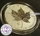 2013 Canadian Maple Leaf Privy Year Of The Snake 1 Oz.  9999 Fine Encapsulated Coins: Canada photo 2