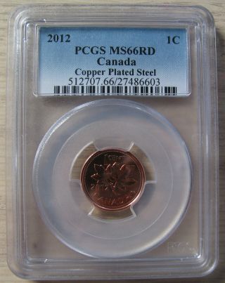 2012 Pcgs Ms66 1 Cent Rd Copper Plated Steel (red Magnetic) Canada One Penny photo