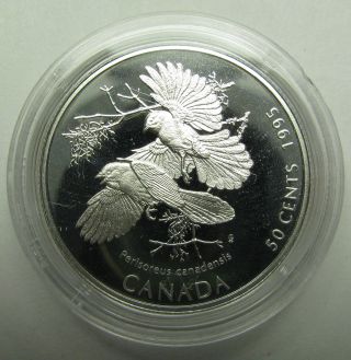 1995 Proof 50 Cents Discovering Nature - Gray Jays Canada Fifty Silver Coin Only photo