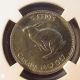 1867 - 1967 5c Canada Ngc Cert.  Ms62 5 Cents Centennial Commemorative Rabbit Nickel Coins: Canada photo 3