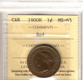 1900h Large Cent Canada Iccs Graded Sy111 Ms63 