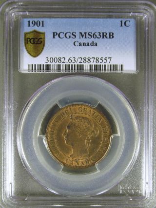 Canada: 1901 Large Cent Pcgs Ms63rb photo