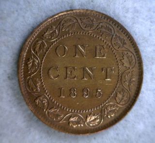 Canada Large Cent 1895 Very Fine (stock 0685) photo