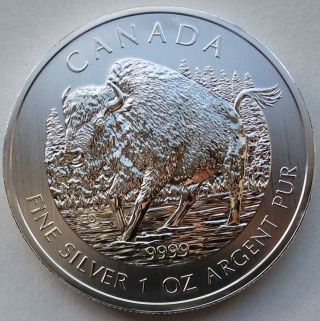 2013 1 Oz Bu Silver Wood Bison Canadian Wildlife Series $5 Canada Coin Wb105 photo