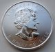 2013 1 Oz Bu Silver Wood Bison Canadian Wildlife Series $5 Canada Coin Wb105 Coins: Canada photo 1