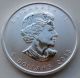 2013 1 Oz Silver Antelope Canadian Wildlife Series $5 Canada Coin.  A112 Coins: Canada photo 2