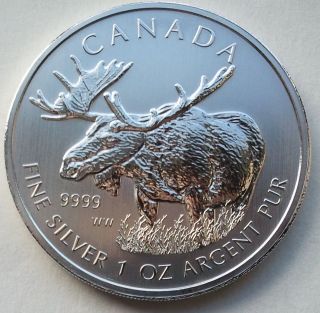 2012 1 Oz Silver Moose Canadian Wildlife Series Canada $5 Coin.  M113 photo
