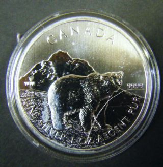 2011 Canada $5 Grizzly Bear 1oz.  9999 Fine Silver Bullion Coin In Capsule Round photo