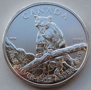 2012 1 Oz Silver Cougar Canadian Wildlife Series $5 Canada Coin.  C129 photo