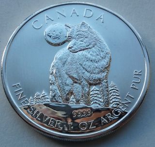 2011 1 Oz Silver Timber Wolf Canadian Wildlife Series Canada $5 Coin.  T211 photo