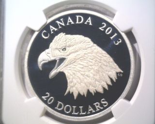 Canada Bald Eagle Silver Proof $20 Coin 2013 Ngc Pf70 Ultra Cameo Early Releases photo