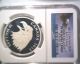 Canada Bald Eagle Silver Proof $20 Coin 2013 Ngc Pf70 Ultra Cameo Early Releases Coins: Canada photo 2