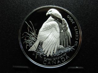 2000 Canada ' S Birds Of Prey - Canada Silver 50 Cent Coin - Red - Tailed Hawk photo