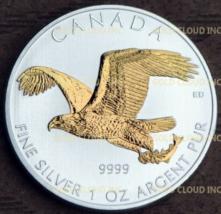 Gilded 2014 Canadian Birds Of Prey Bald Eagle 1 Oz Silver Coin,  24k Gold Gilt photo