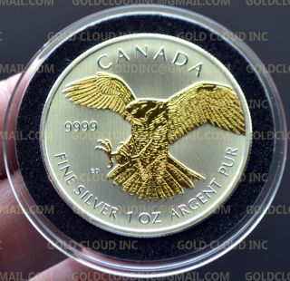2014 Canadian Birds Of Prey Peregrine Falcon 1 Oz Gilded Silver Coin 24k Gilt photo