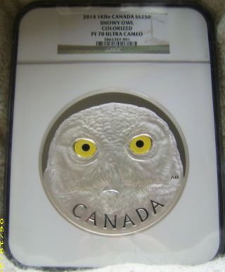 2014 Canada Snowy Owl Colorized Silver Kilo Ngc Pf70 Uc Pop.  2 001 photo