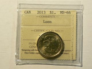Canada,  2013 Loon Dollar,  Iccs Ms - 66 2641 photo
