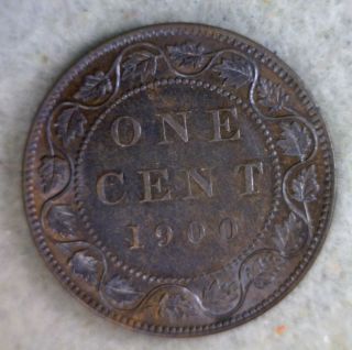 Canada Large Cent 1900 Uncirculated (stock 1738) photo