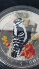2008 25cent Downy Woodpecker Coins: Canada photo 7